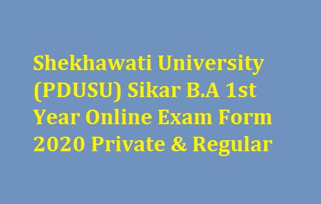 Shekhawati University BA 1st Year Online Exam Form 2022