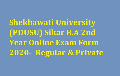 Shekhawati University BA 2nd Year Online Exam Form 2022