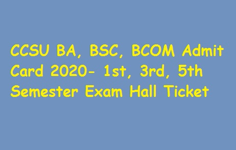 CCSU BA, BSC, BCOM Admit Card 2020