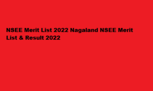 NSEE Merit List 2022 nbsenl.edu.in Nagaland NSEE Merit List & Result