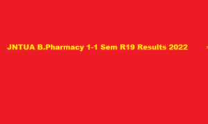 JNTUA B.Pharmacy 1-1 Sem R19 Results 2022 at jntuaresults.ac.in