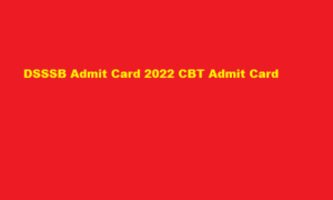 DSSSB Admit Card 2022 CBT Admit Card at dsssb.delhi.gov.in 