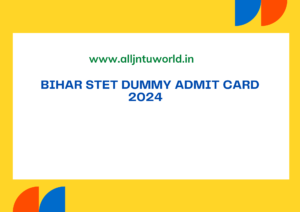 Bihar STET Dummy Admit Card 2024 bsebstet2024.com Paper 1 & 2 Hall Ticket